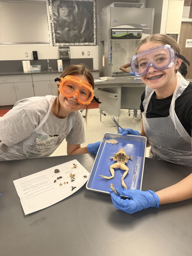 Frog Dissection