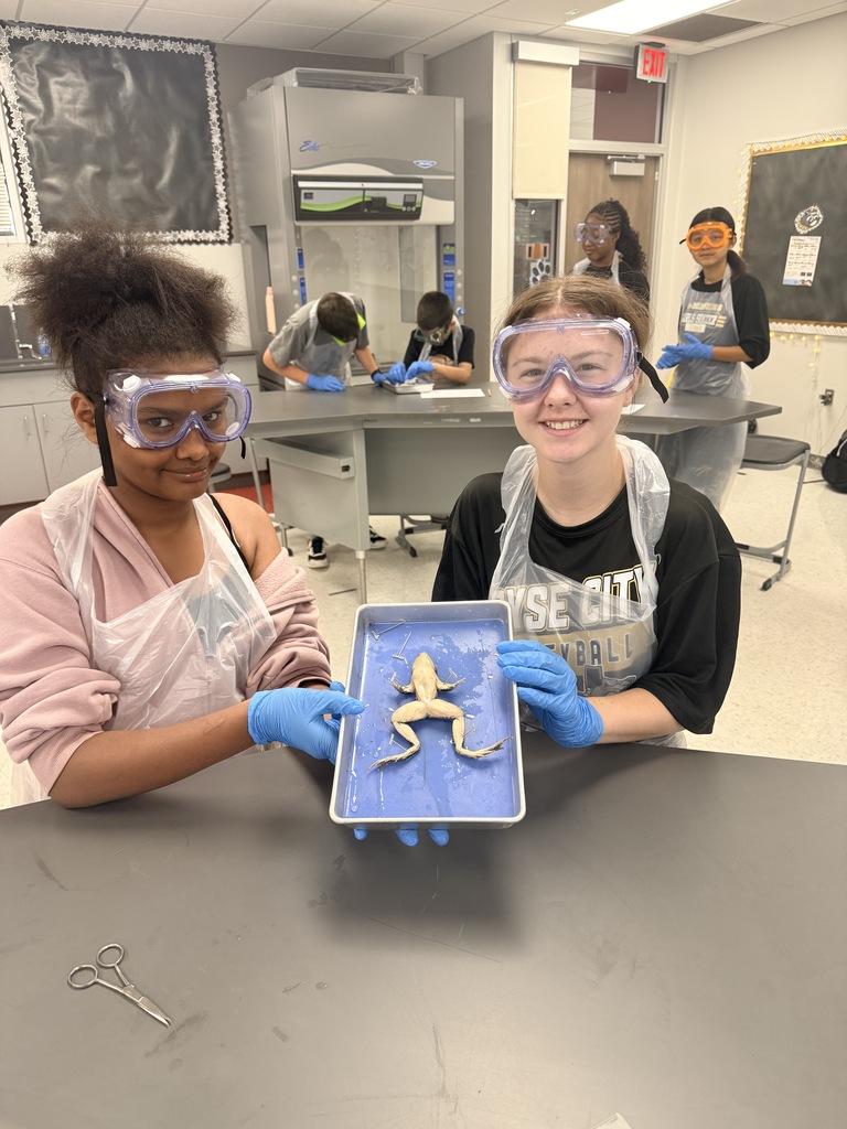 Frog Dissection