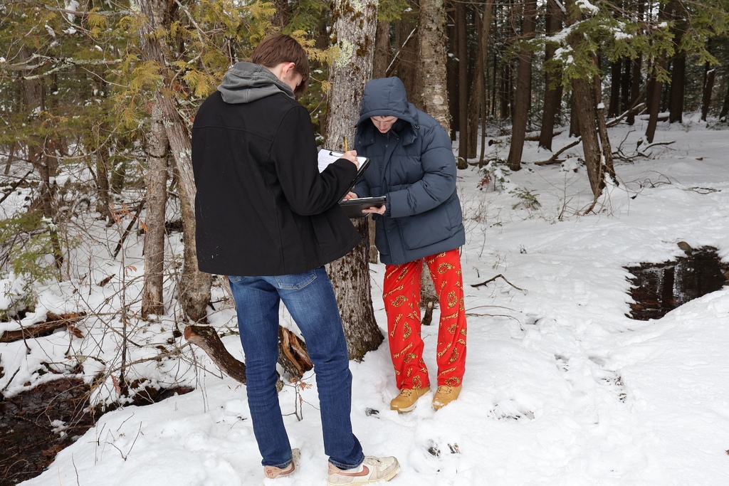 Responding to Whitman.