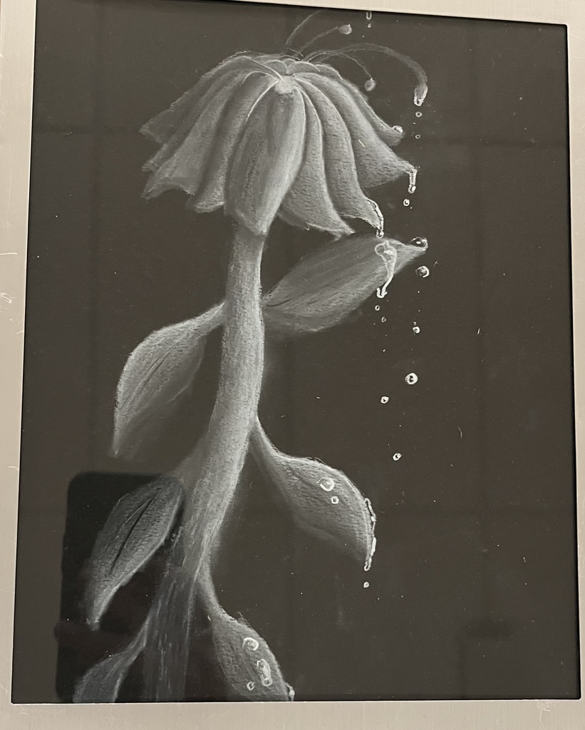 Art by Nokomis Sophomore, Kiera Turner 