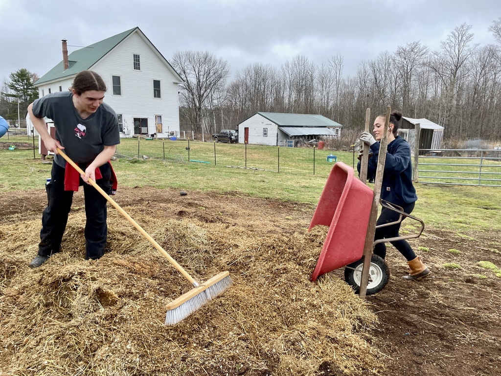 Junior and freshman teamwork!