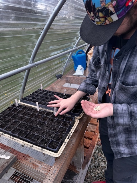 Planting