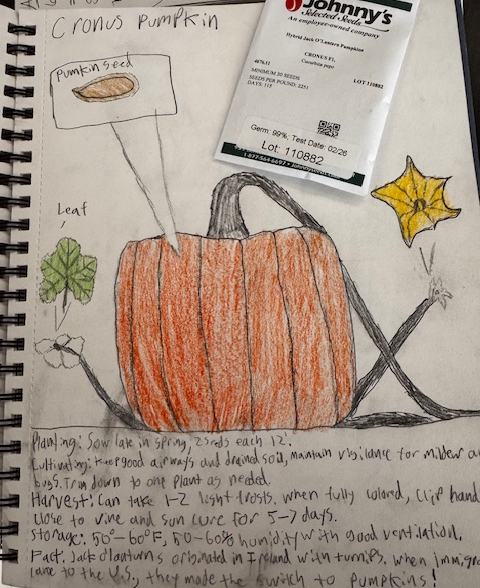 Cronus Pumpkin