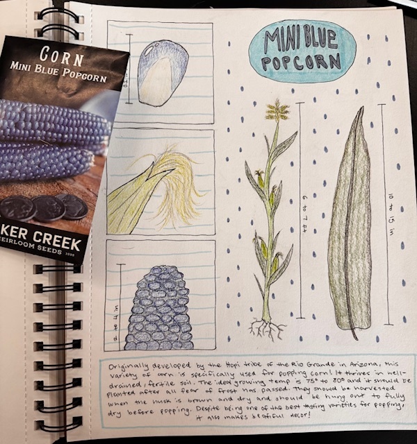 Mini Blue Popcorn