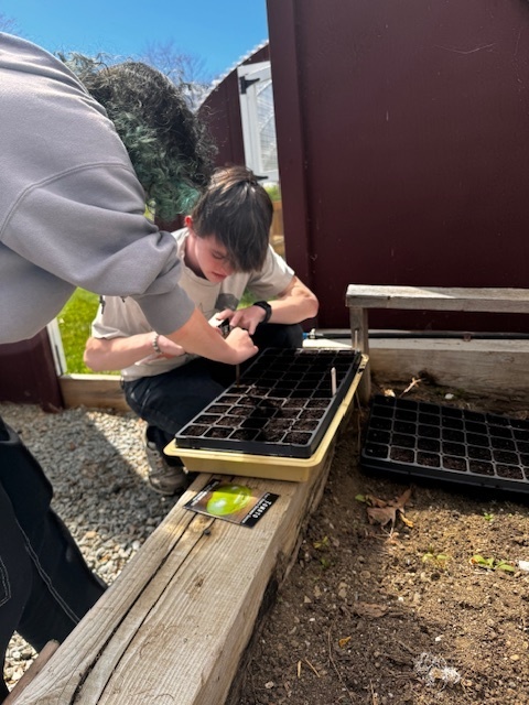 Planting