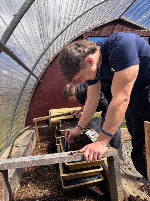 Planting