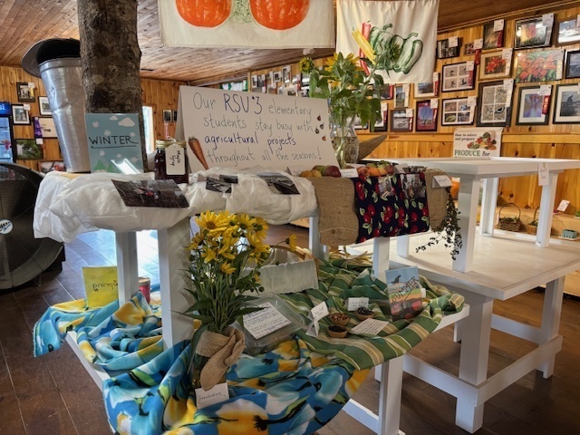 Display 1