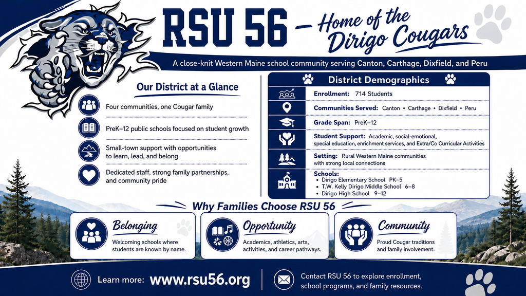 District demographics poster