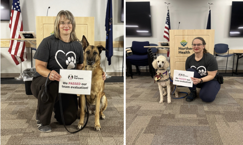 Welcome back therapy dogs!