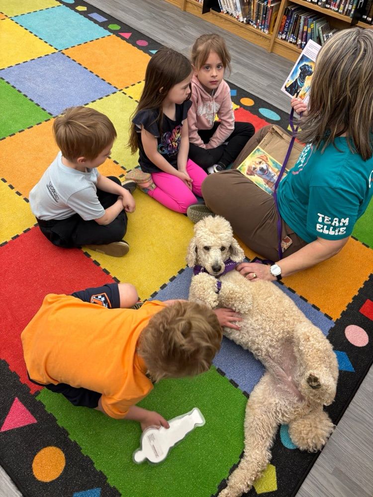 Therapy dog