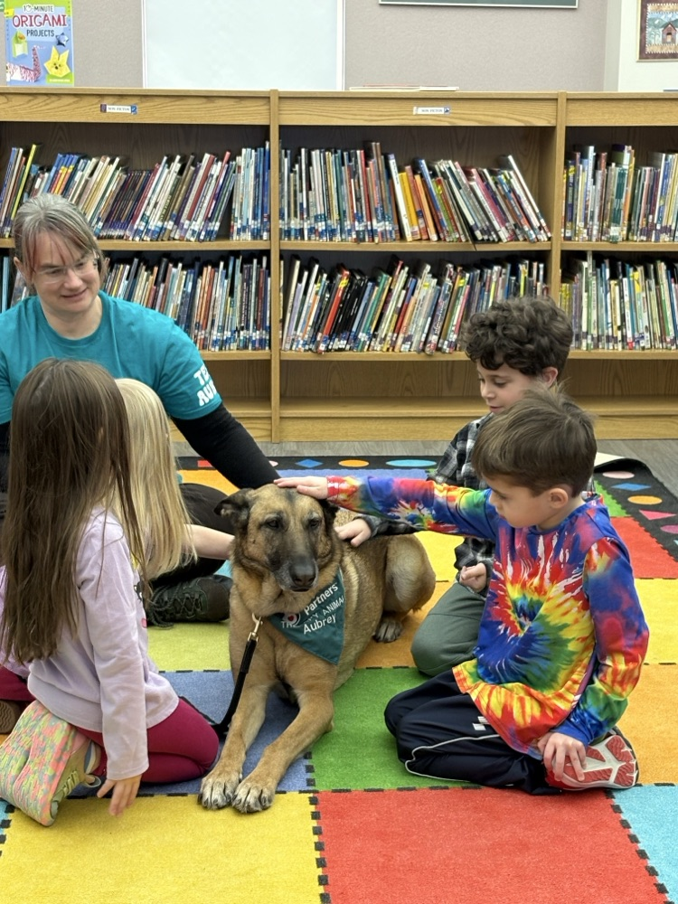 Therapy dog