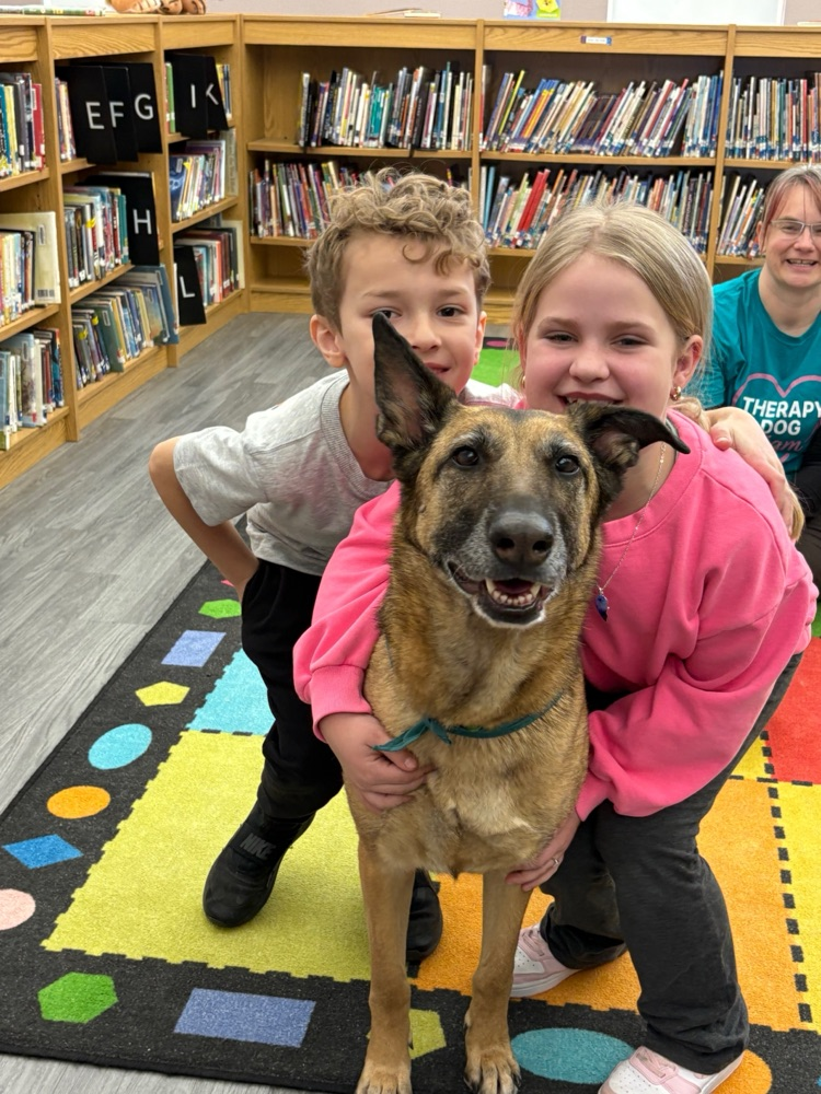 Therapy dog
