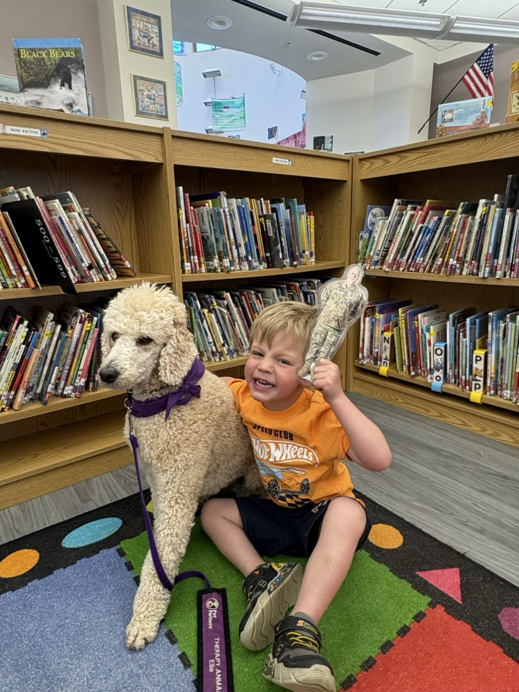 Therapy dog