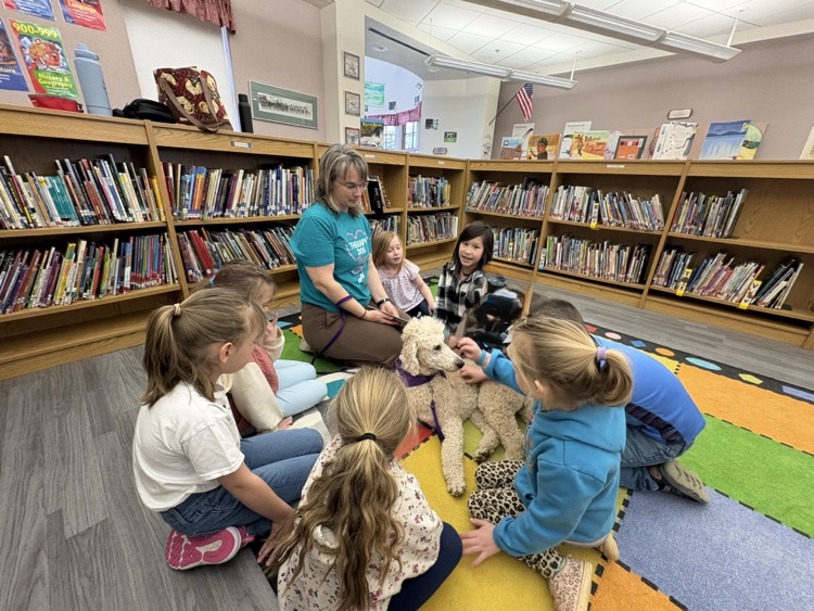 Therapy dog