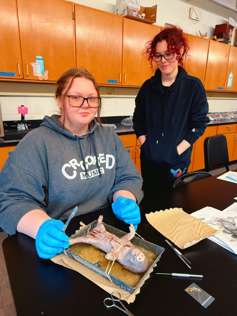 Fetal Pigs