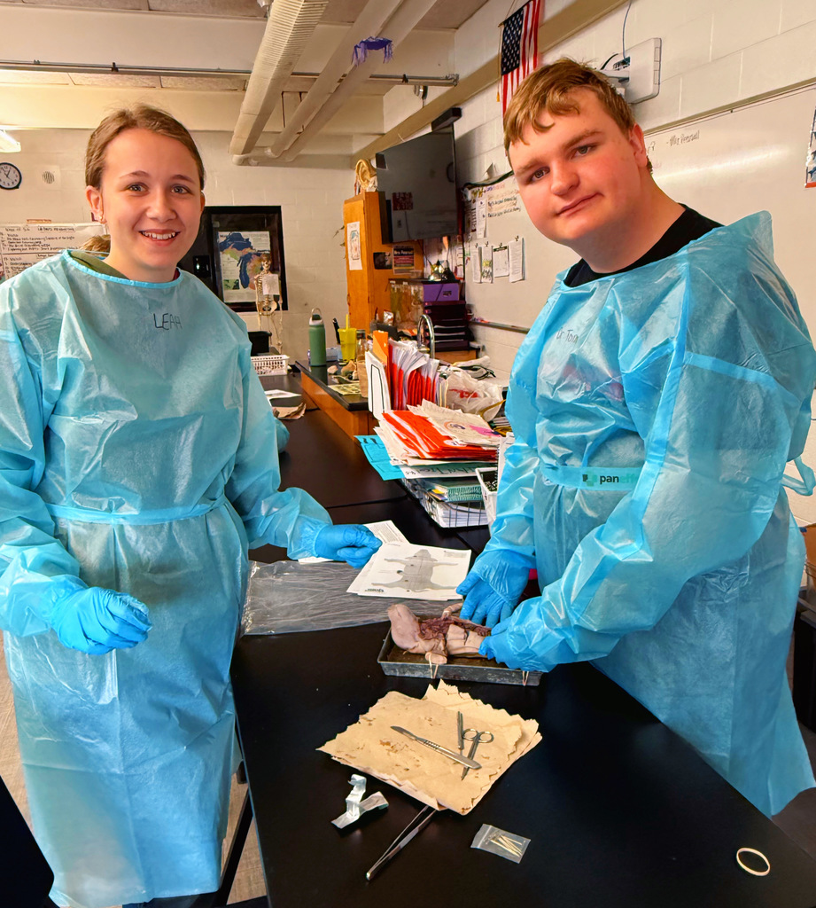 Fetal Pigs