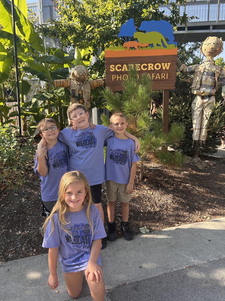 zoo