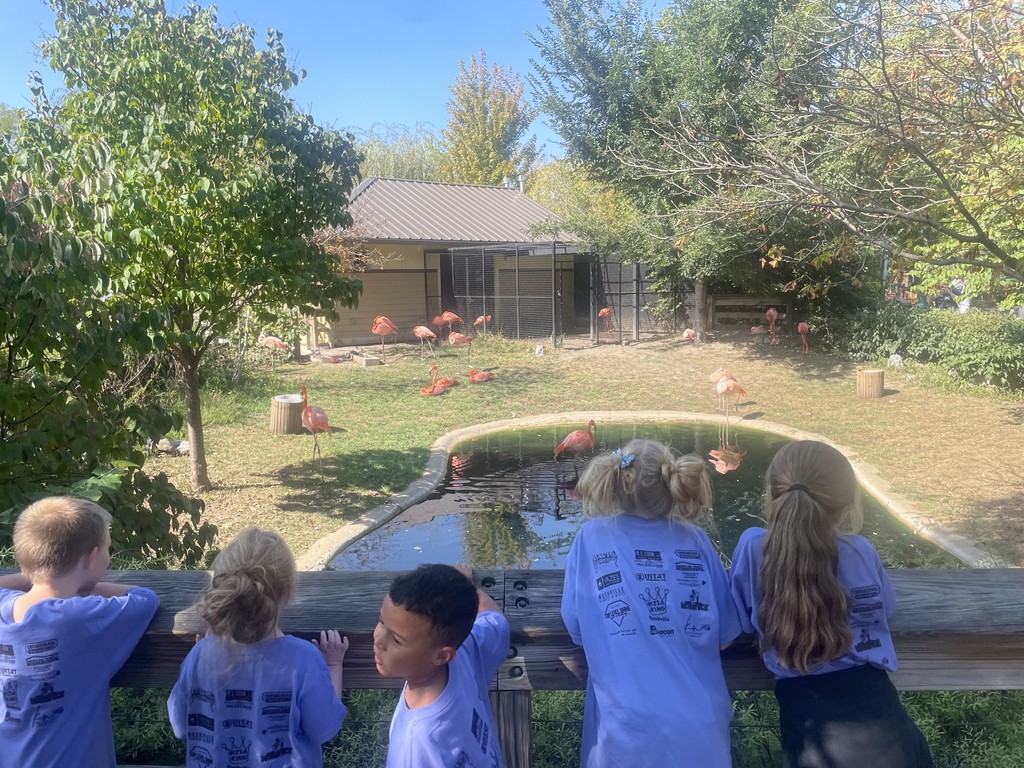 zoo