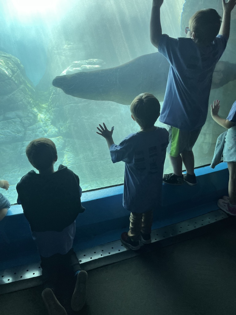 zoo