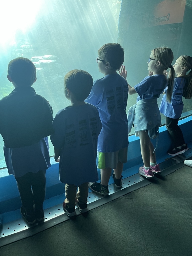 zoo