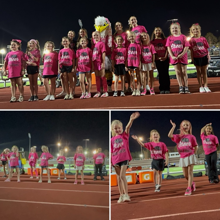 pink out
