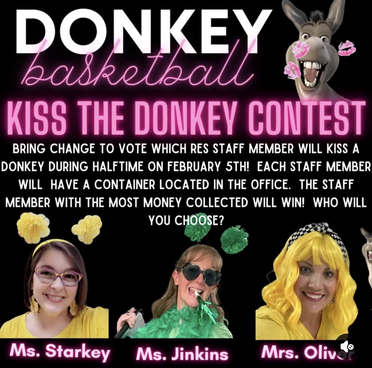 donkey