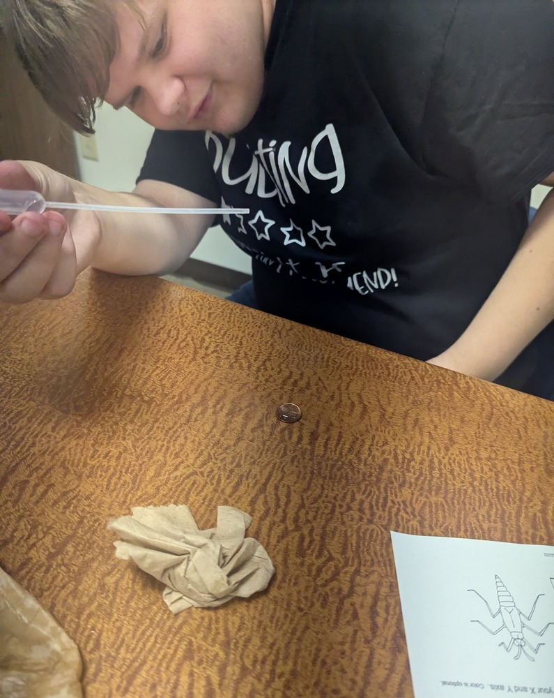 Student Working in Science Lab