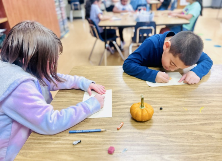 2nd grade art