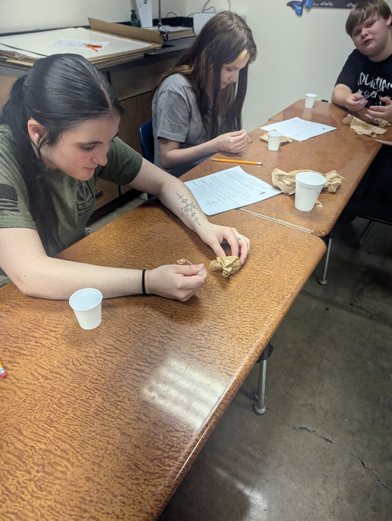Student Working in Science Lab