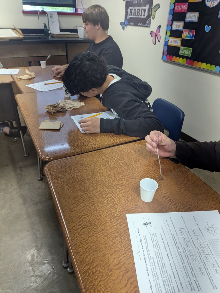 Students Working in Science Lab Experiments