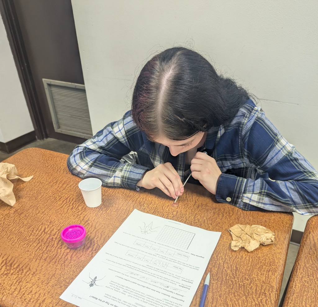 Student Working in Science Lab