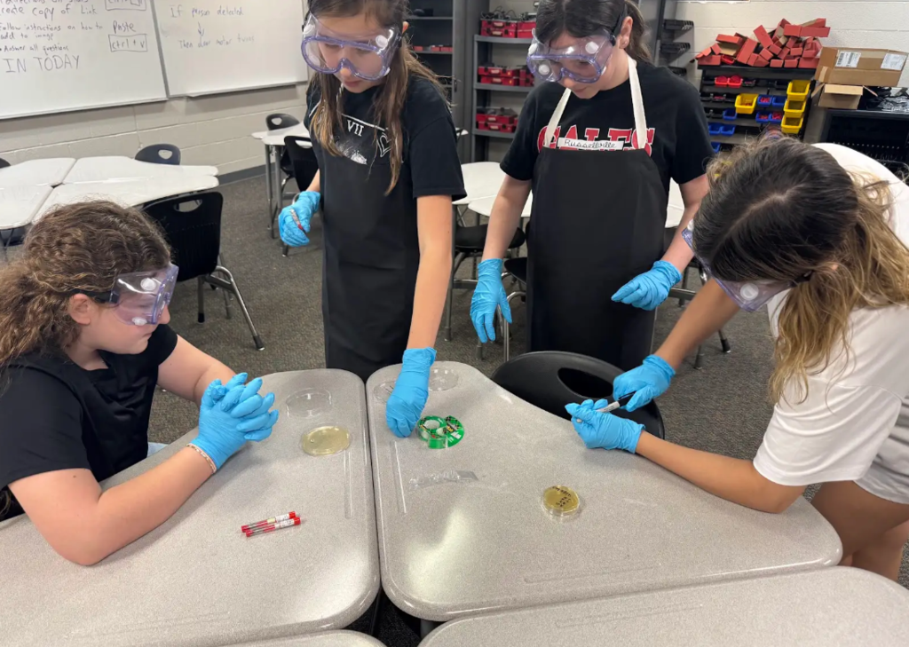 students analyzing samples
