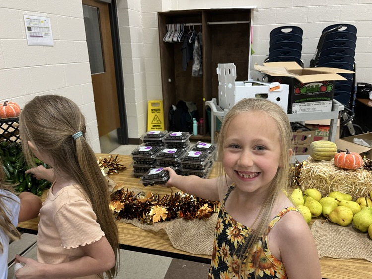 Farmer’s Market