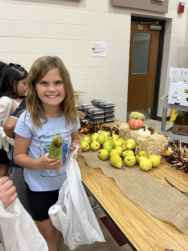 Farmer’s Market