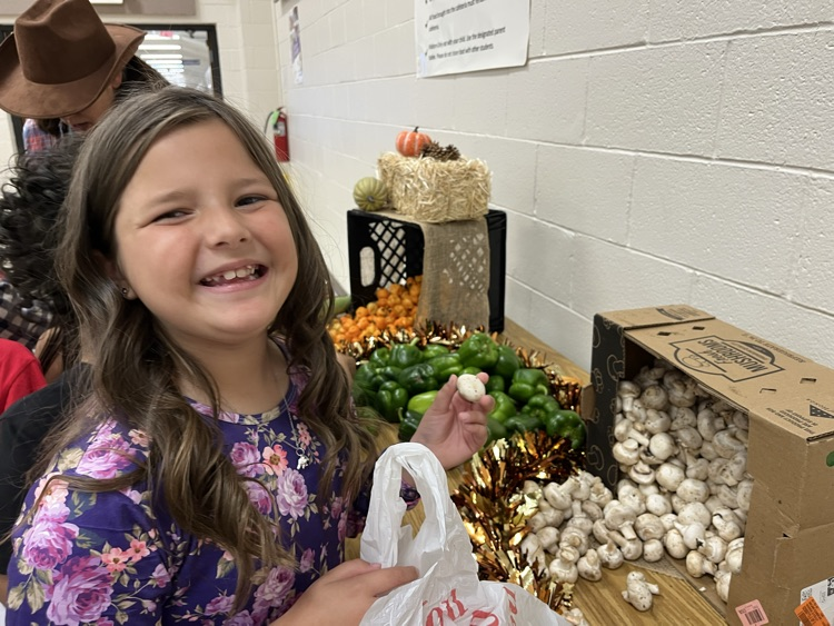 Farmer’s Market