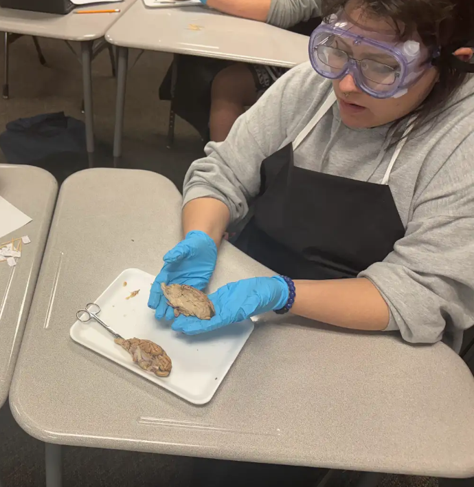 student holding a disection