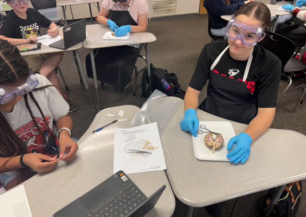 student dissecting