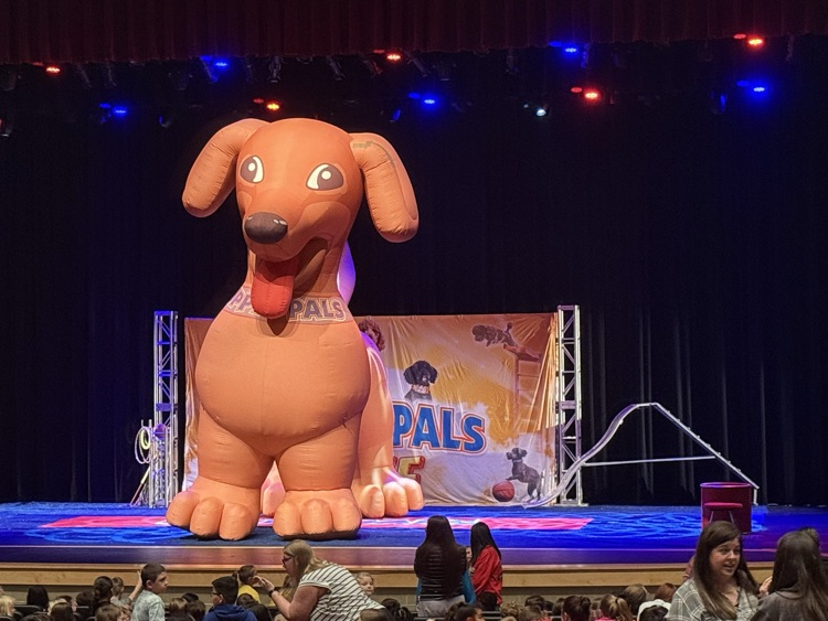 Puppy Pals Live
