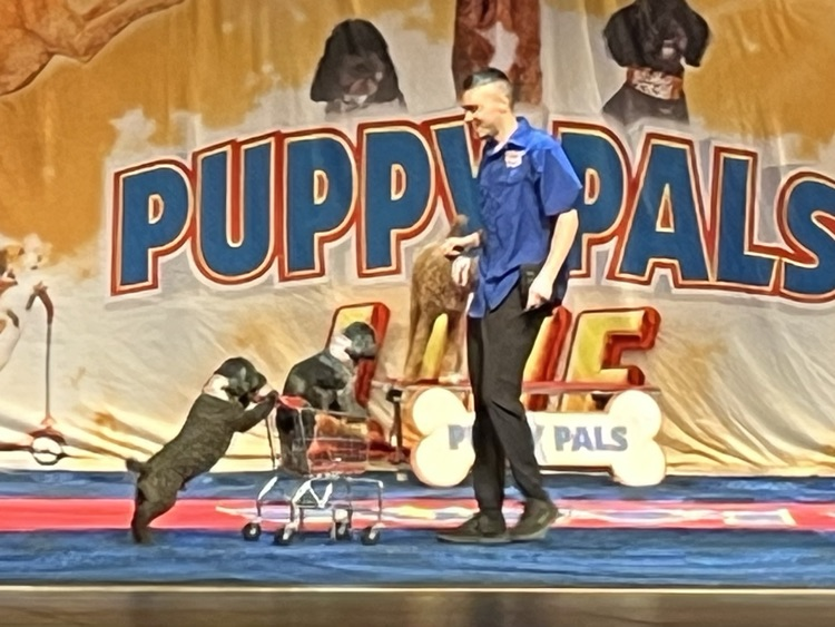 Puppy Pals Live