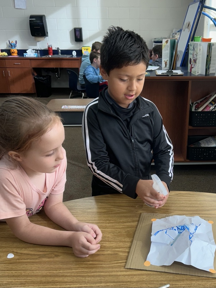 2nd grade science lesson