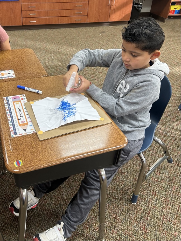 2nd grade science lesson