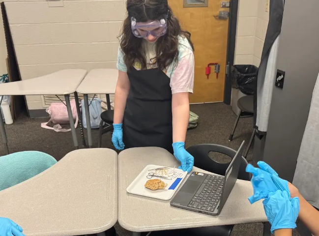 students getting ready to disect