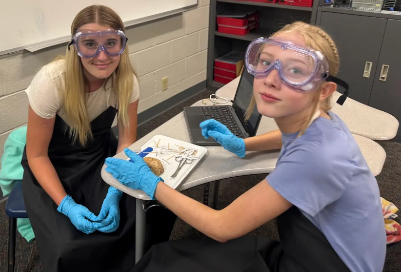 students working together