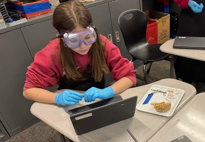 student looking at a computer researching