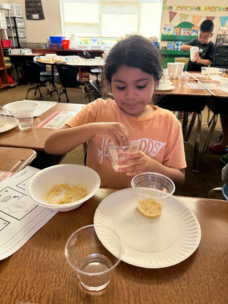 Student exploration