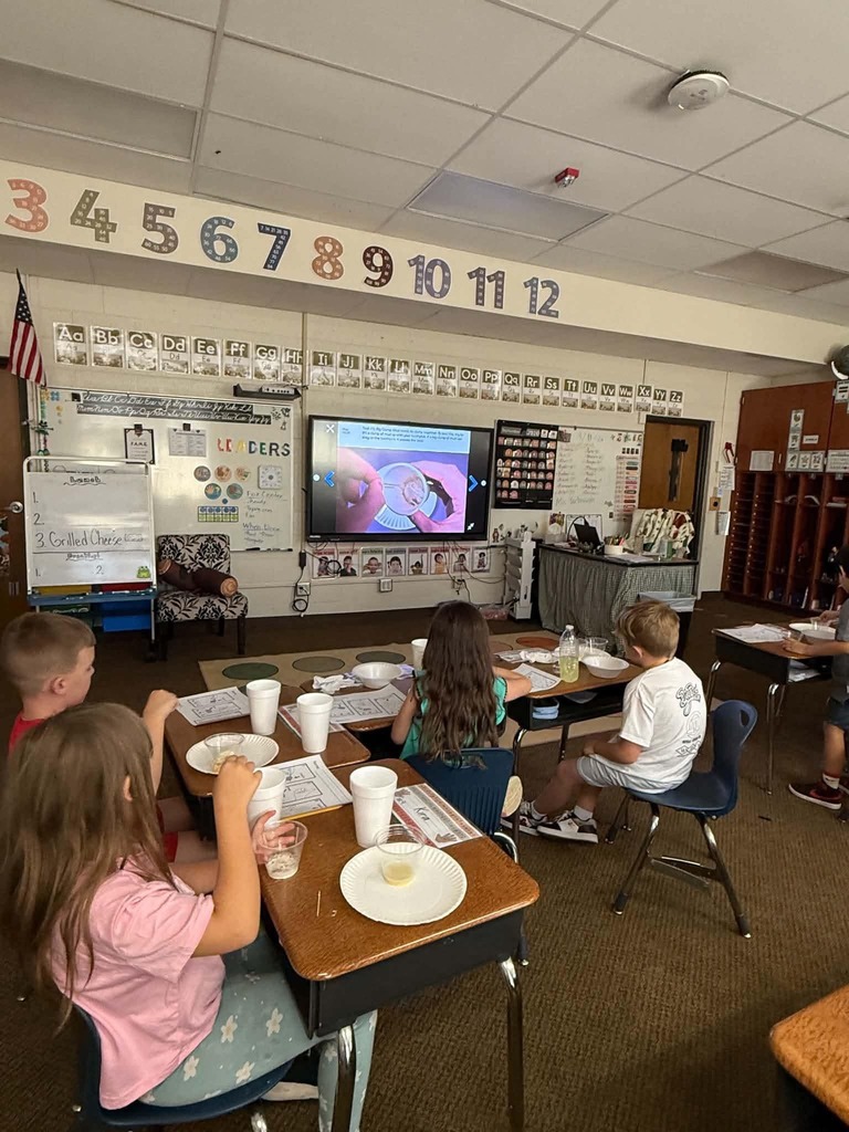 Student exploration