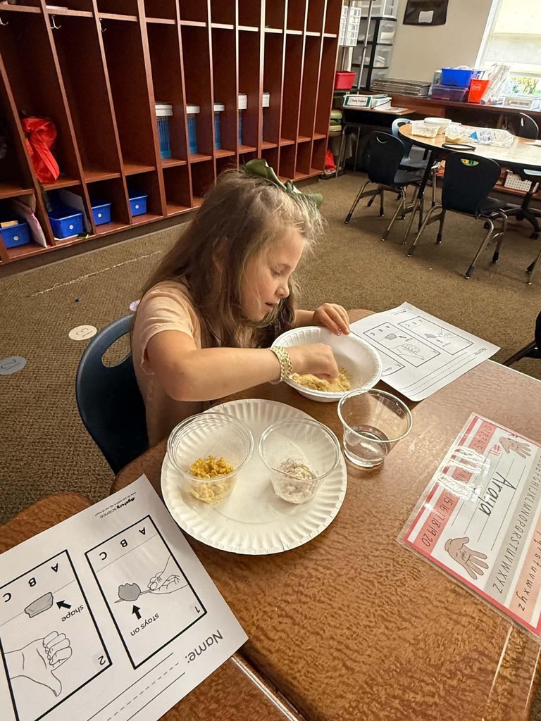 Student exploration