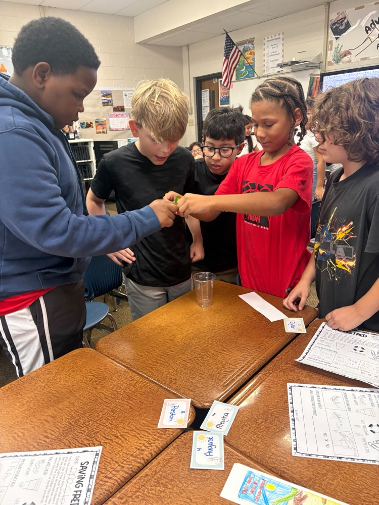 Watson’s class activities