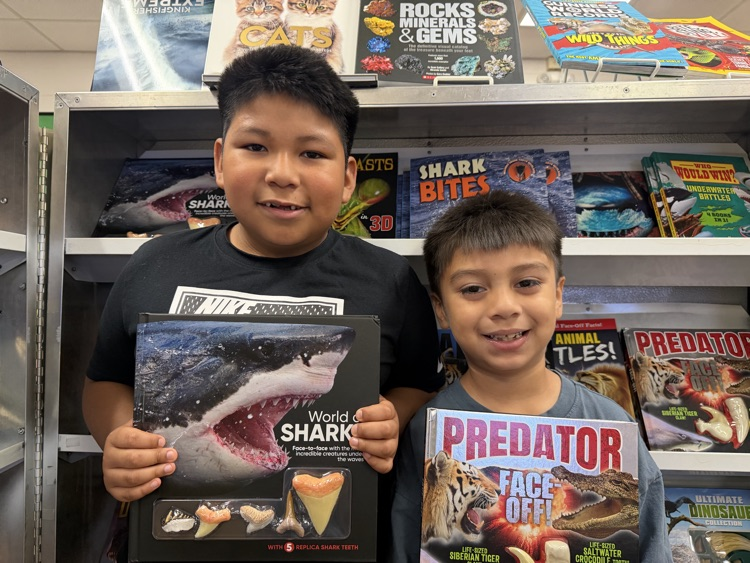 Book Fair