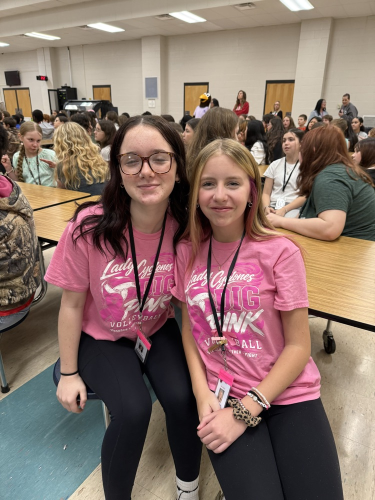 two girls in breast cancer shirts